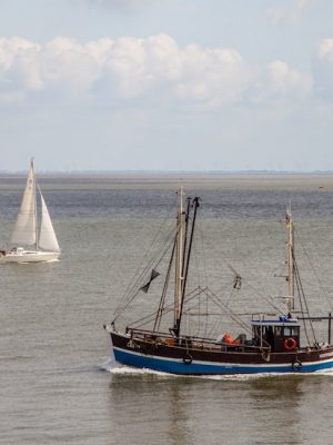 IMG_7725_1653904996.jpg